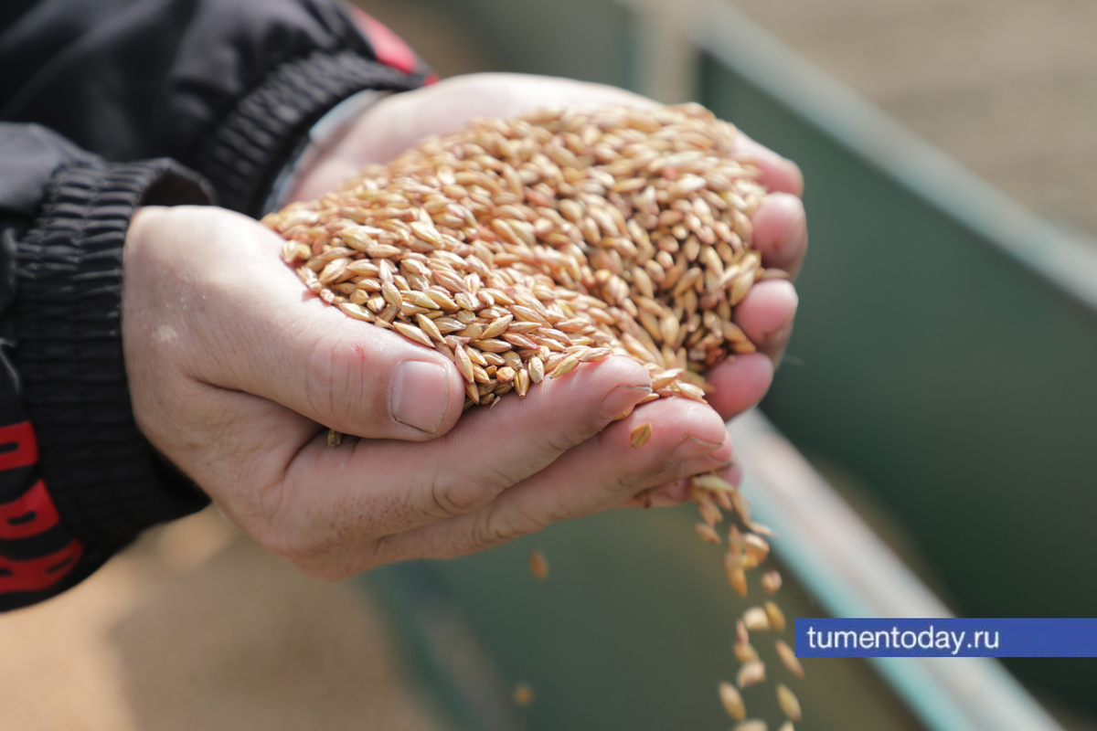 Фото Сергея Куликова