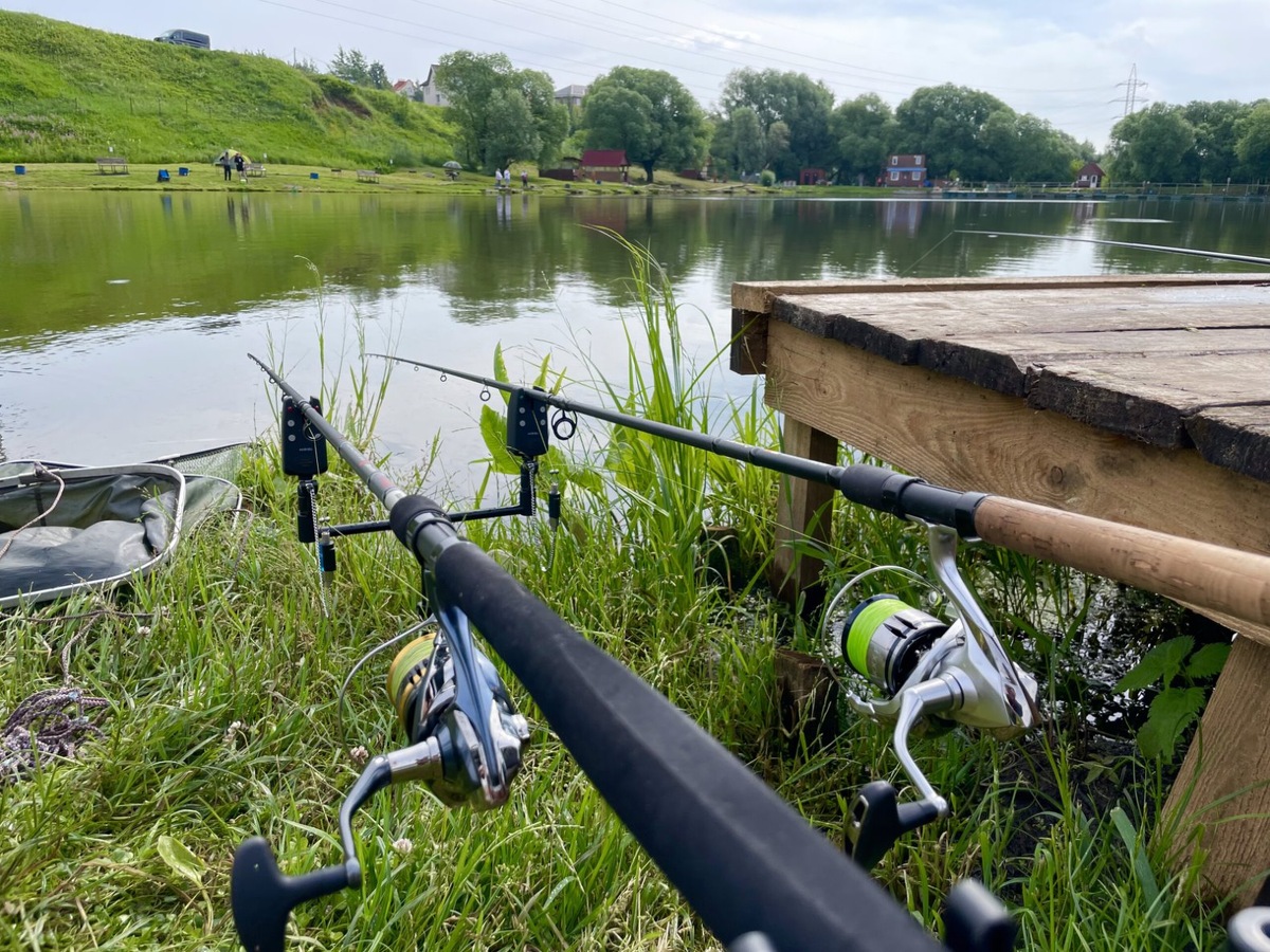 Фидерные удилища для ловли карпа