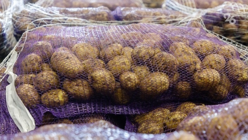      Фото: ИА «Победа26»