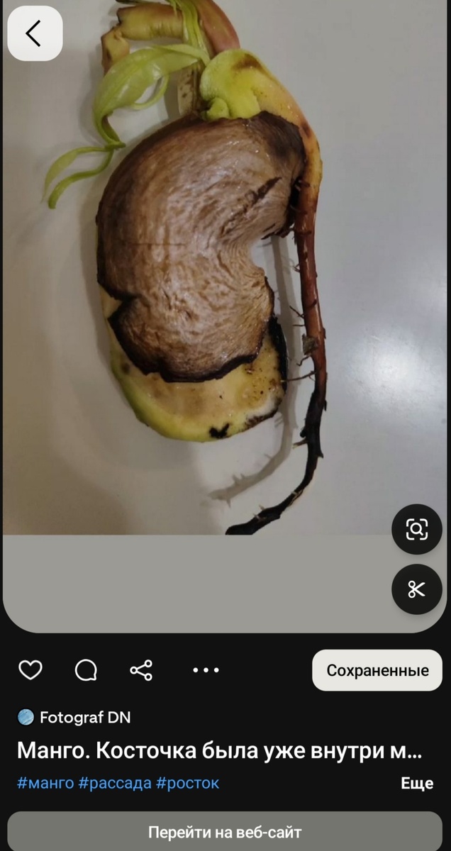 как увеличить просмотры на Дзене Взаимная подписка