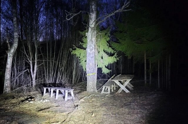    Уже несколько дней поиски идут в лесу. Фото: ВПСО «Сова»