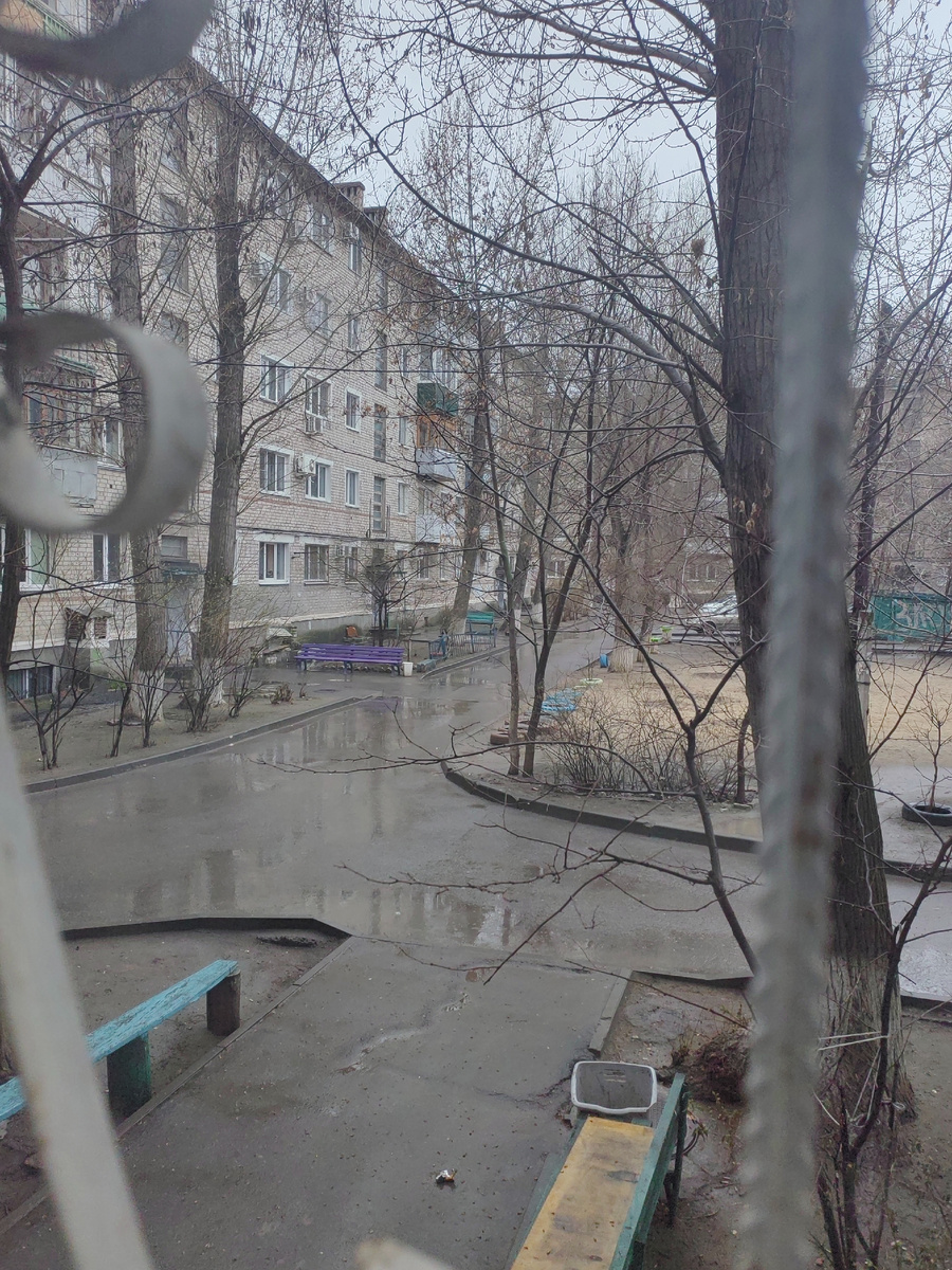 Вид из окна рабочего кабинета