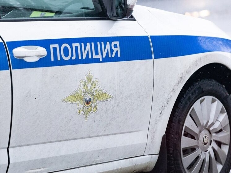     Полиция проводит проверку по факту смертельного наезда. фото: архив мк в питере