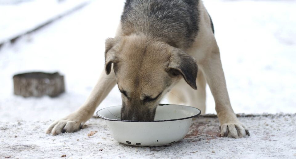    Медиасток.рф