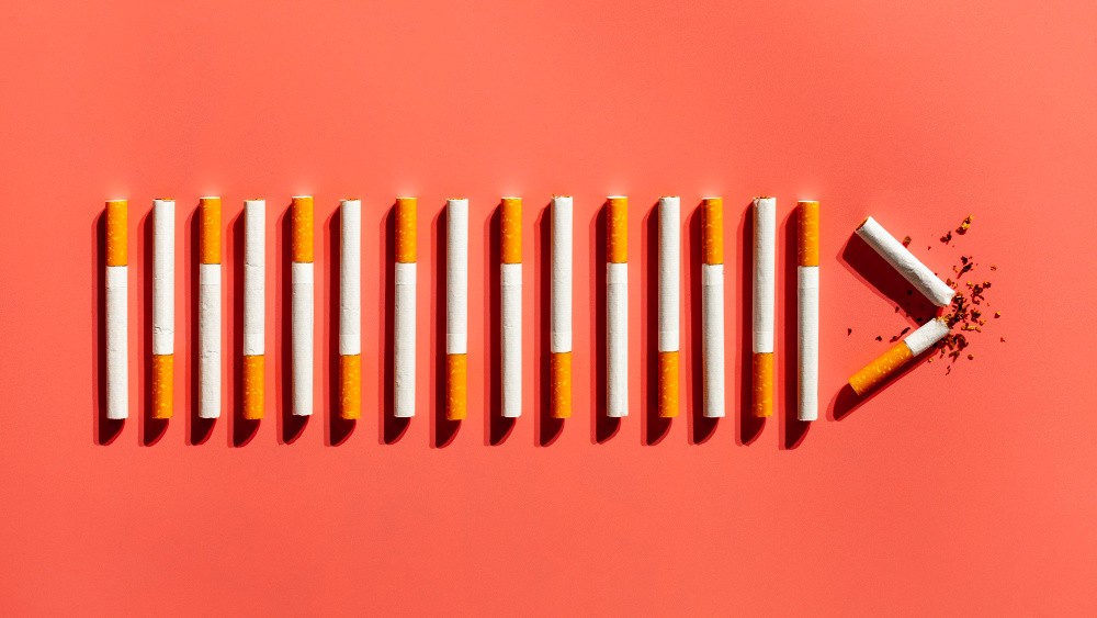 Что внутри IQOS (Источник изображения freepik.com)