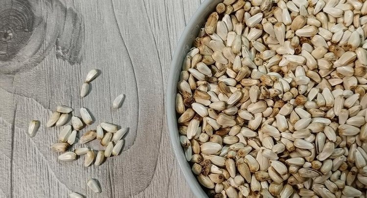    Волгоградский сафлор закупают Вьетнам и Таиланд