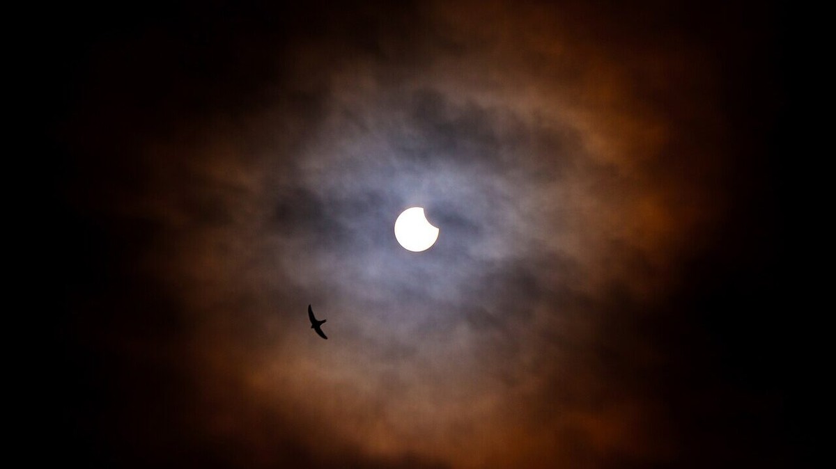    Солнечное затмение 29 марта будет в севрном полушарии. Фото: Wikimedia Commons