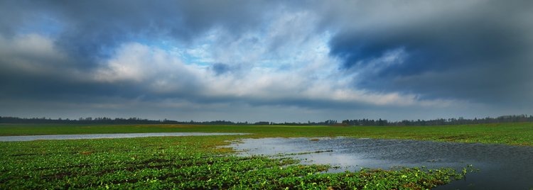    Изменение климата. Как адаптироваться к возможным рискам в сельском хозяйстве? Часть 1