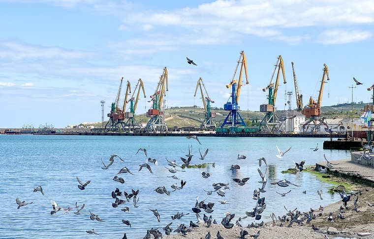    Сергей Петров/NEWS.ru