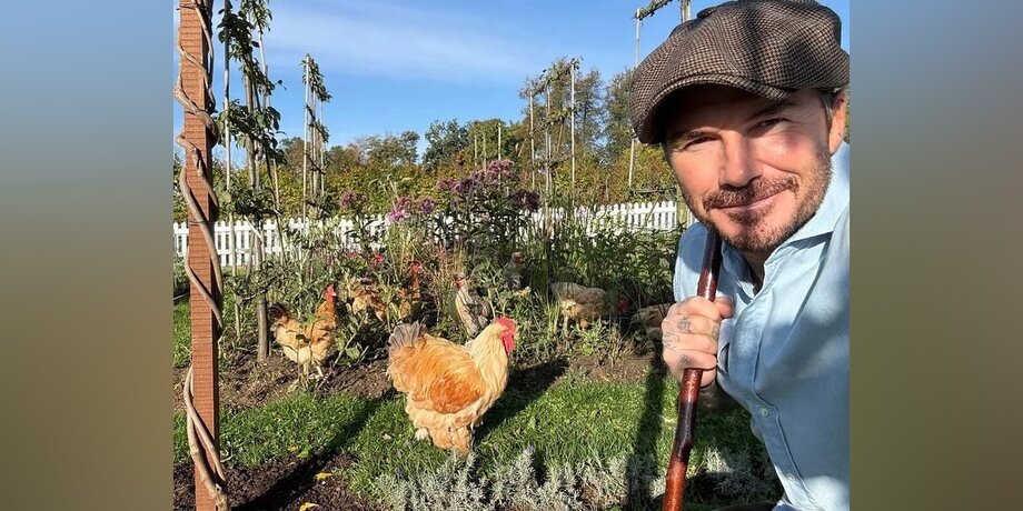 Фото: instagram.com (принадлежит Meta, организация признана экстремистской и запрещена в РФ)/David Beckham