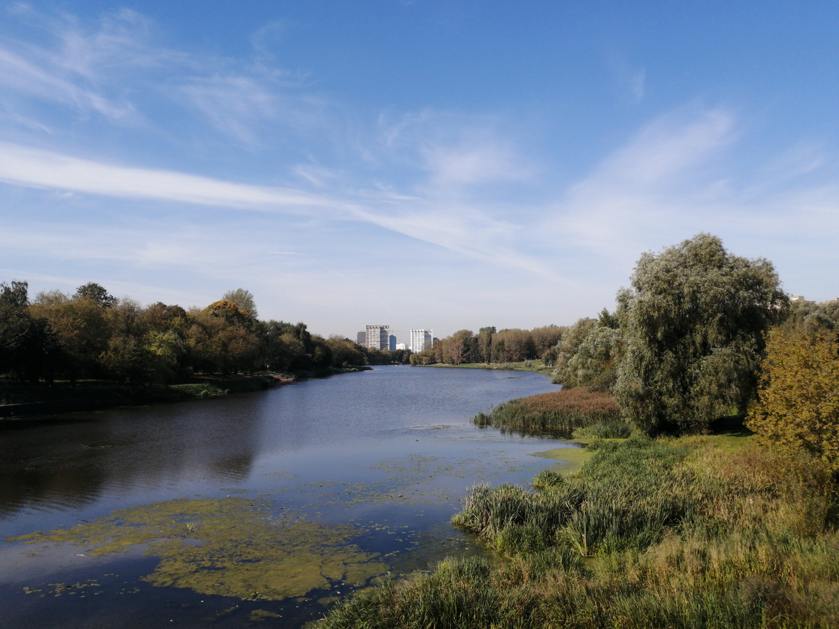 Вид с дороги