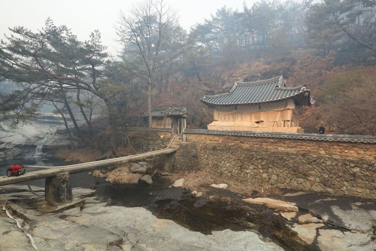    Манхюджон в Андоне, провинция Северная Кёнсан, обтянут огнеупорной тканью в среду, на следующий день после того, как он пережил опустошительный лесной пожар. (Yonhap)