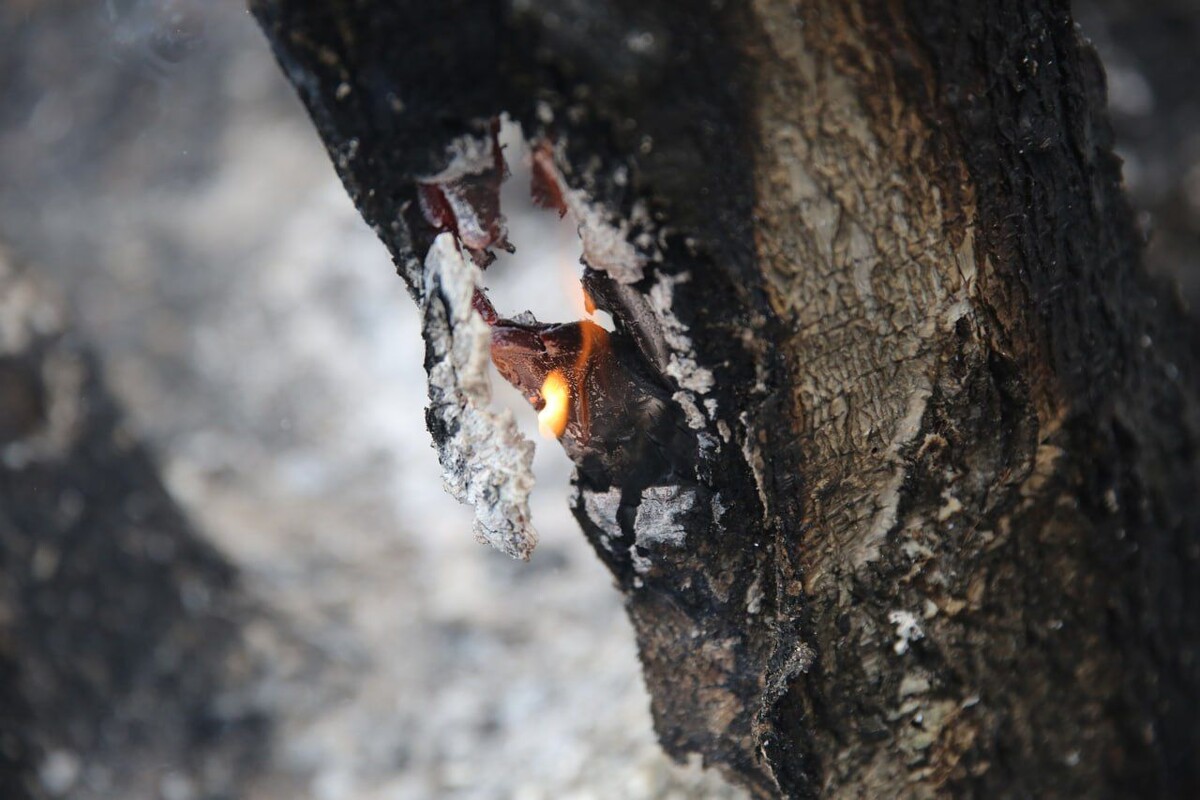    Фото: Пресс-служба правительства Забайкалья