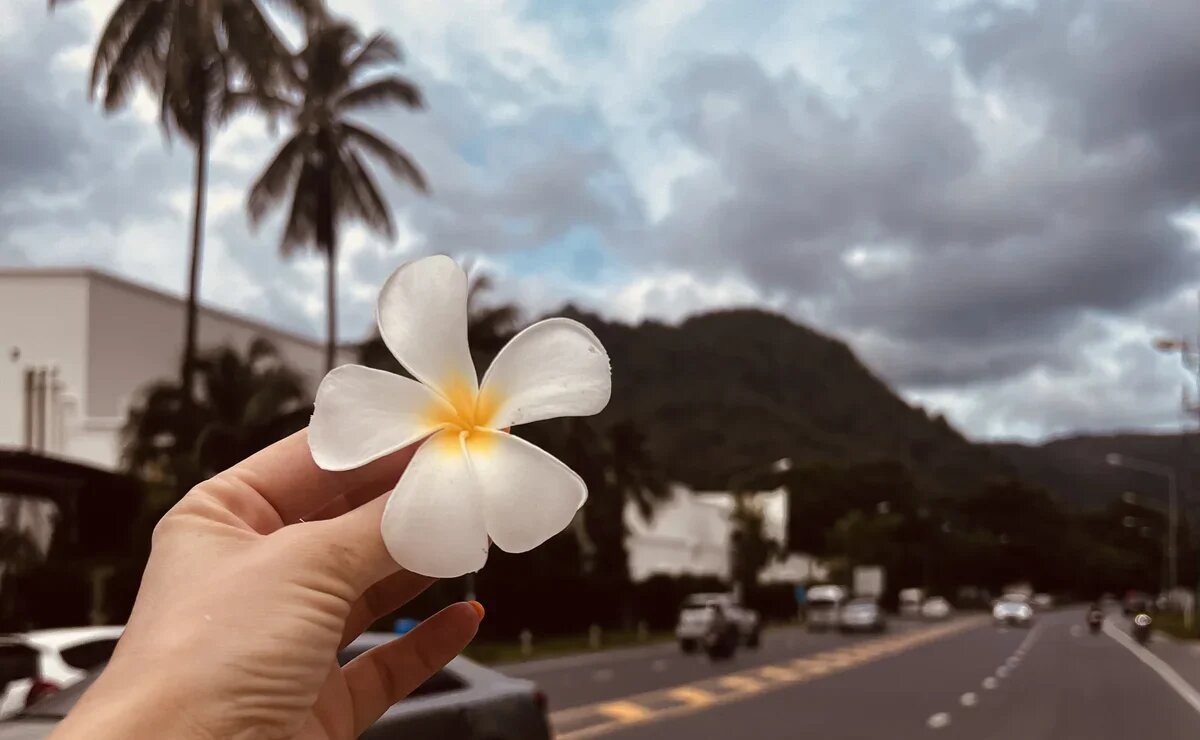    Самуи подешевеет, а дороги Пхукета освободятся от пробок?