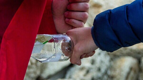    © РИА Новости Крым . Александр Дружинович