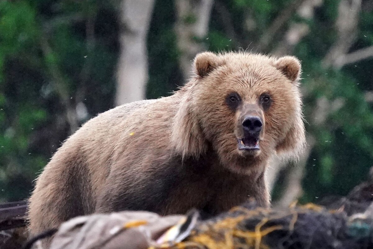     / Источник: © ИЗВЕСТИЯ/Эдуард Корниенко