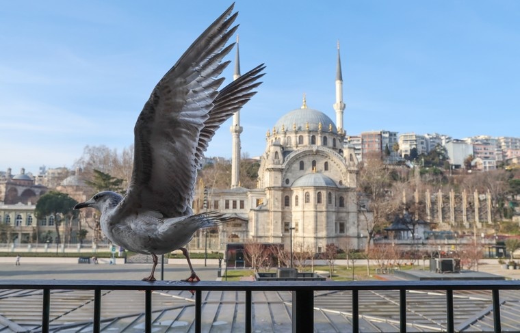    Алексей Белкин/NEWS.ru