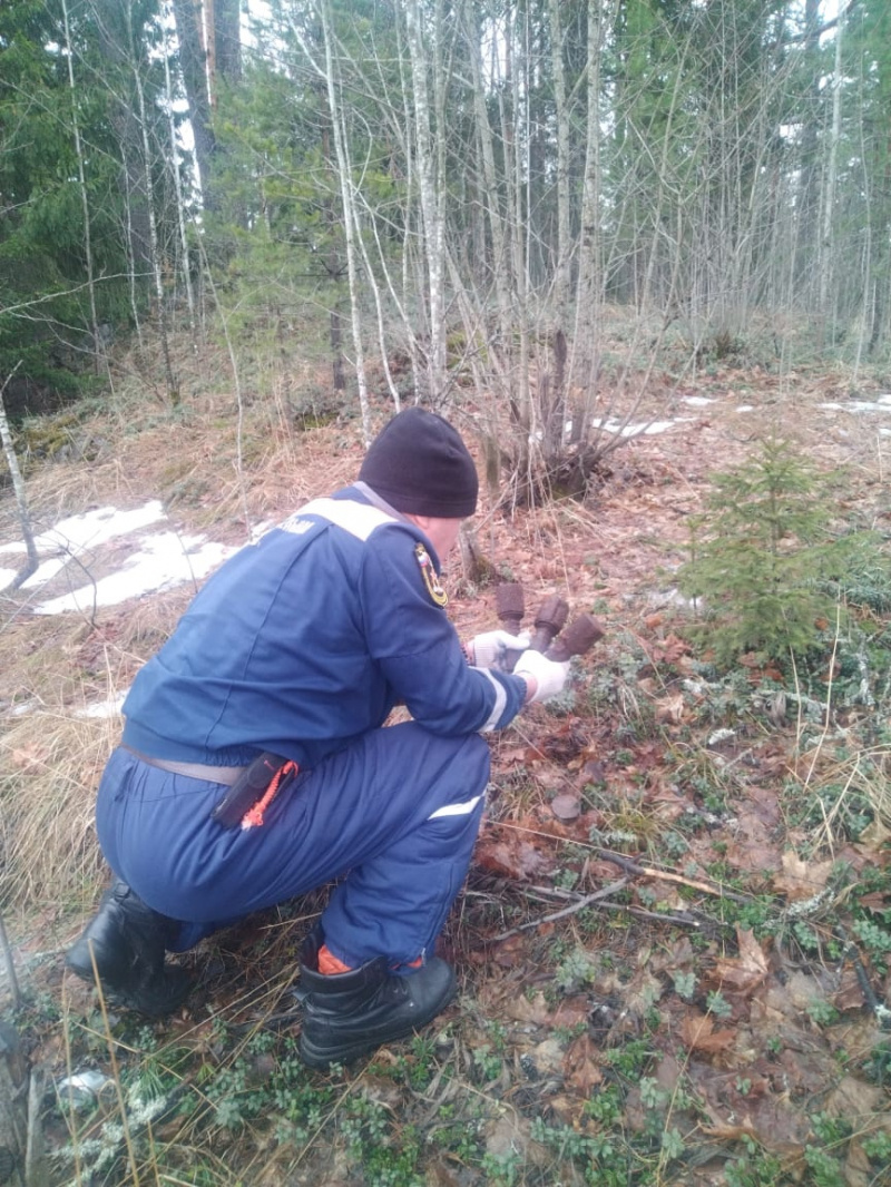   Пограничники нашли гранаты в Лахденпохском районе КарелииГосударственный комитет Карелии по ОЖ и БН