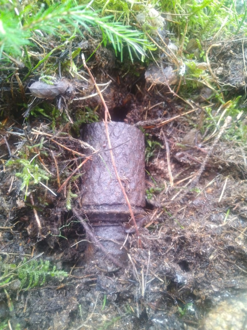    Пограничники нашли гранаты в Лахденпохском районе КарелииГосударственный комитет Карелии по ОЖ и БН