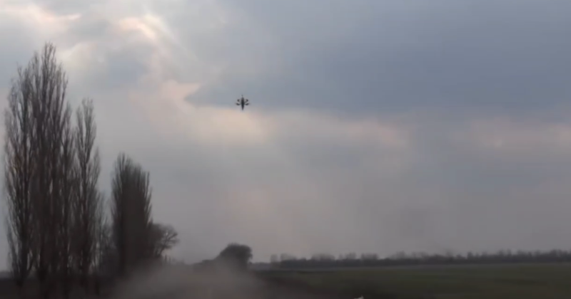    Скриншот: Telegram/Maisto