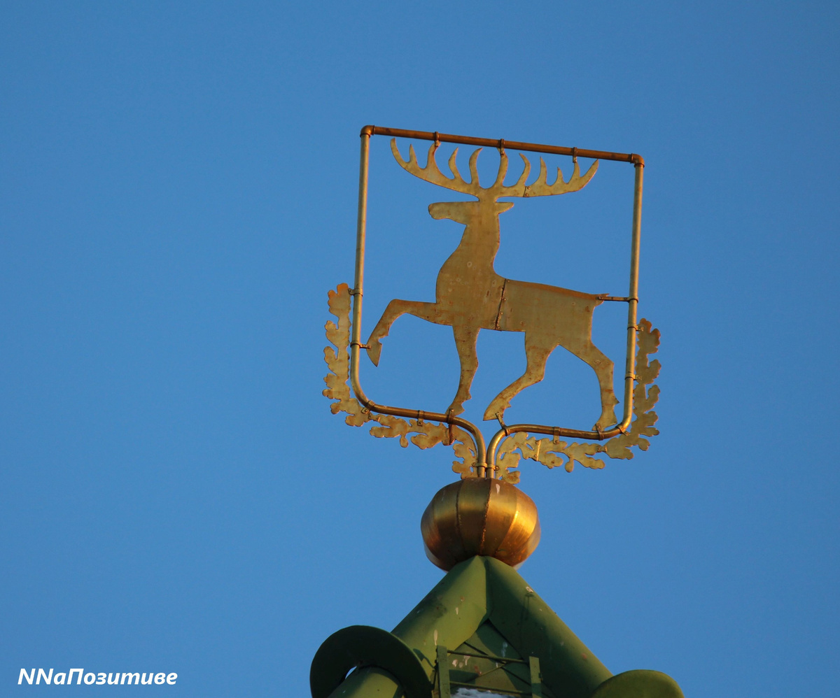 Олень на Дмитриевской башне