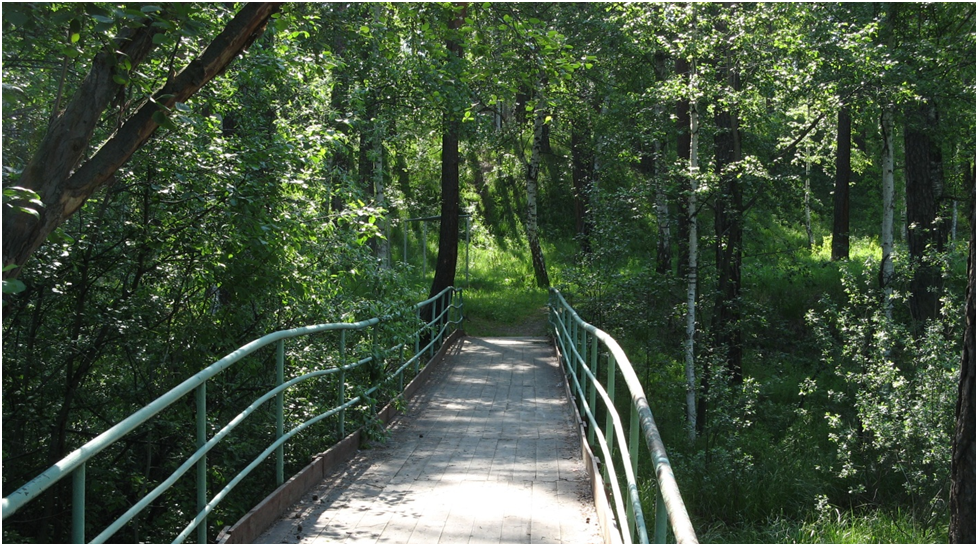 Мостик на стадион пионерского лагеря над протокой реки. Фото автора.