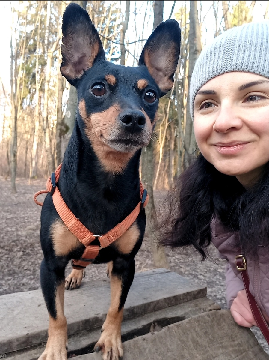 Рэду нужна подвижная хозяйка!