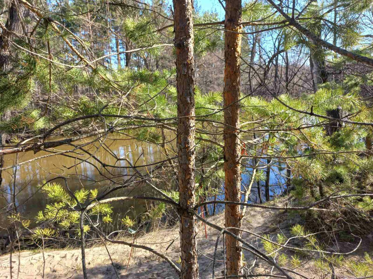 Фото автора.