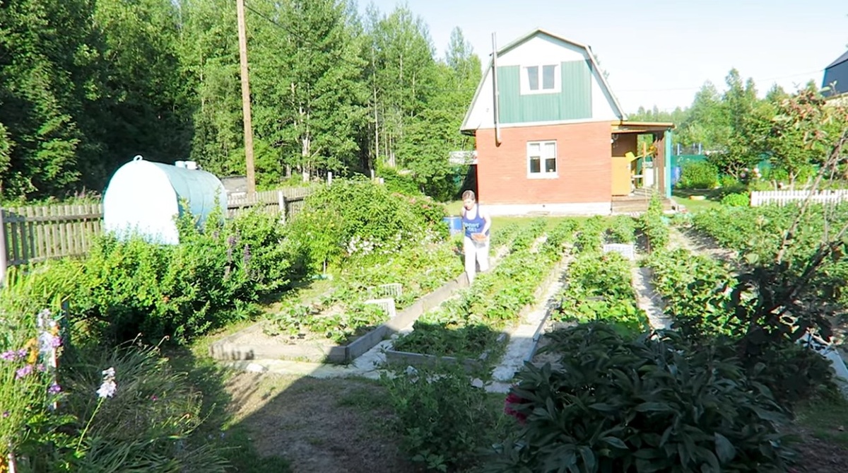 Фото Pr Scr youtube.com / Vika Siberia /LifeVlog