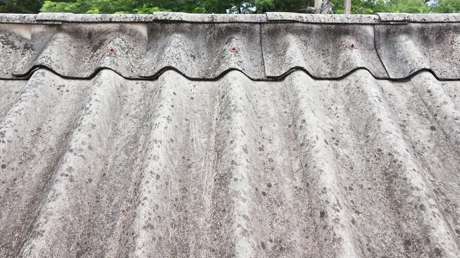 Здесь и далее фото ShutterStock/Fotodom.ru