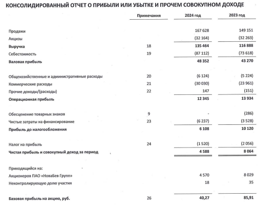 Отчет Новабев за 2024 год