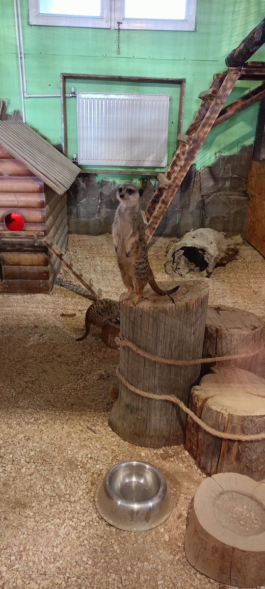 Это фото с частного парка ДОДО . Краснодарский край. 