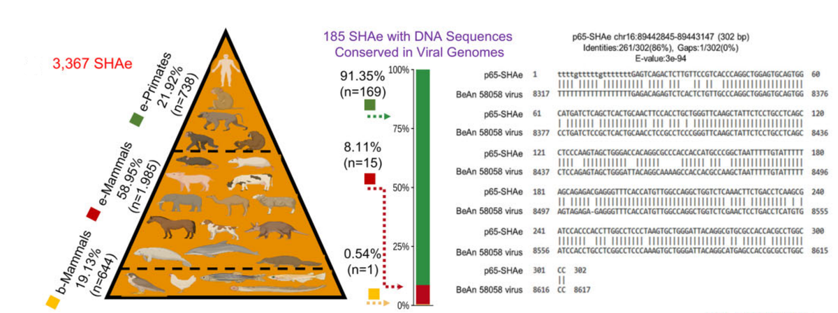 Иллюстрация из [1]