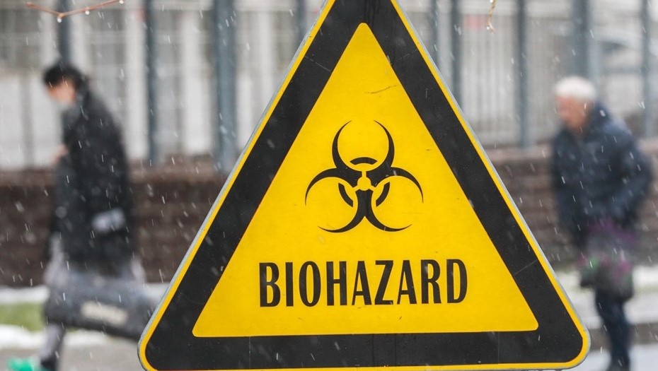    Автор фото: Коньков Сергей