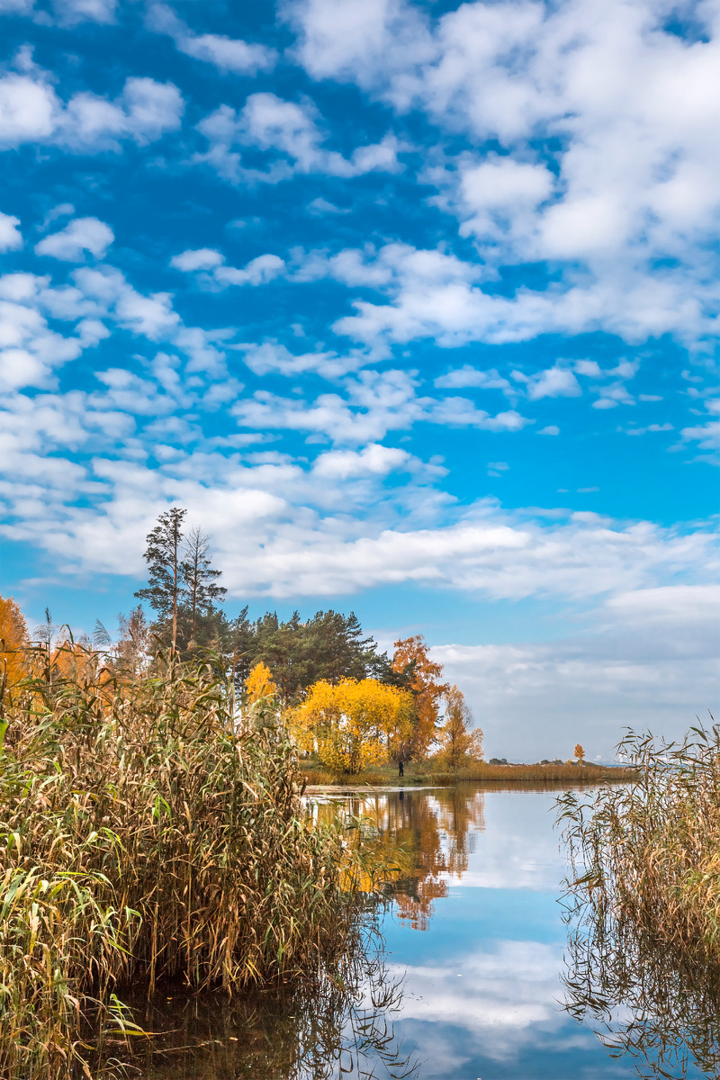 Река Обь, залив.