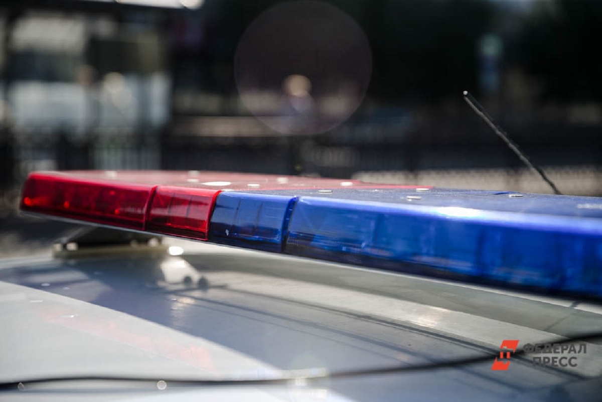 Наркотики в авто депутата обнаружил экипаж ДПС.  Фото: Фото: ФедералПресс / Евгений Поторочин