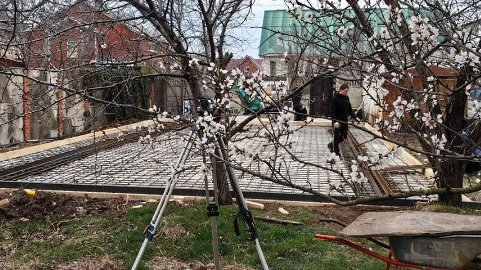 Фото: Научно-экологический центр спасения дельфинов «Дельфа»