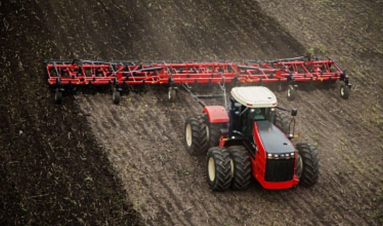    В 2025 году увеличение масличных гектаров запланировано в Уральском федеральном округе