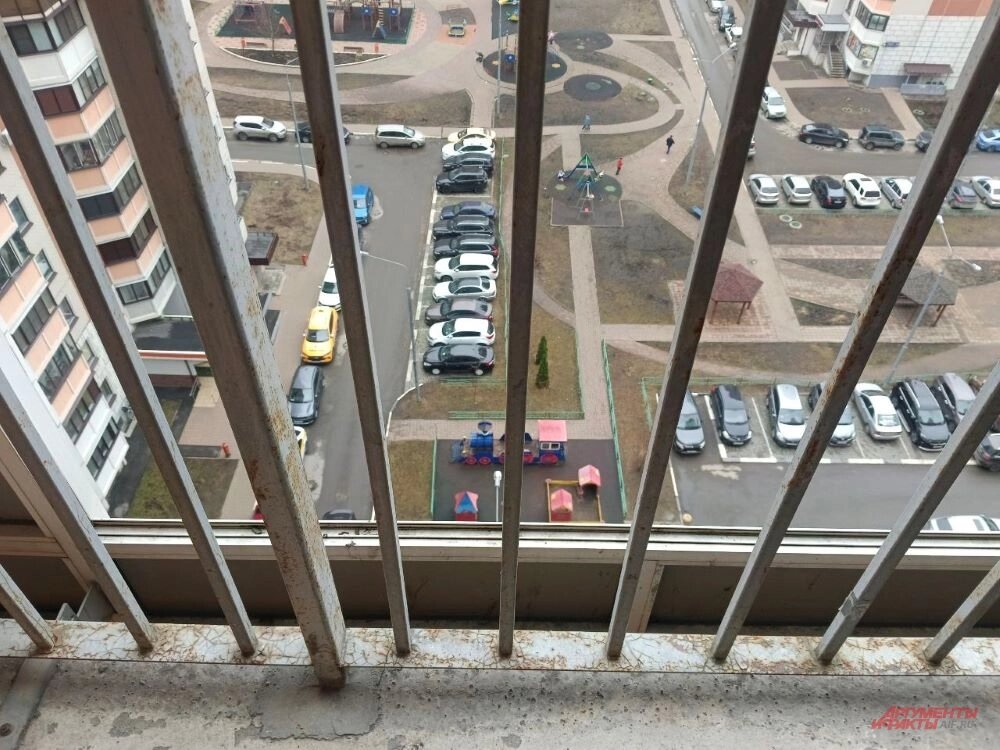    Фото:  АиФ/ Лизавета Андреева