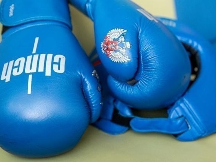     Белгородский боксер стал призером первенства ЦФО, фото: Алексей Дацковский / БелПресса (архив)