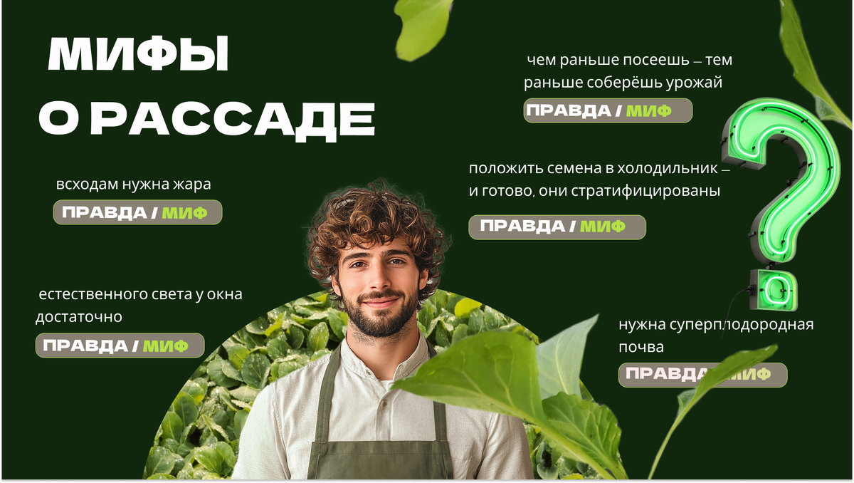 Мифы о рассаде