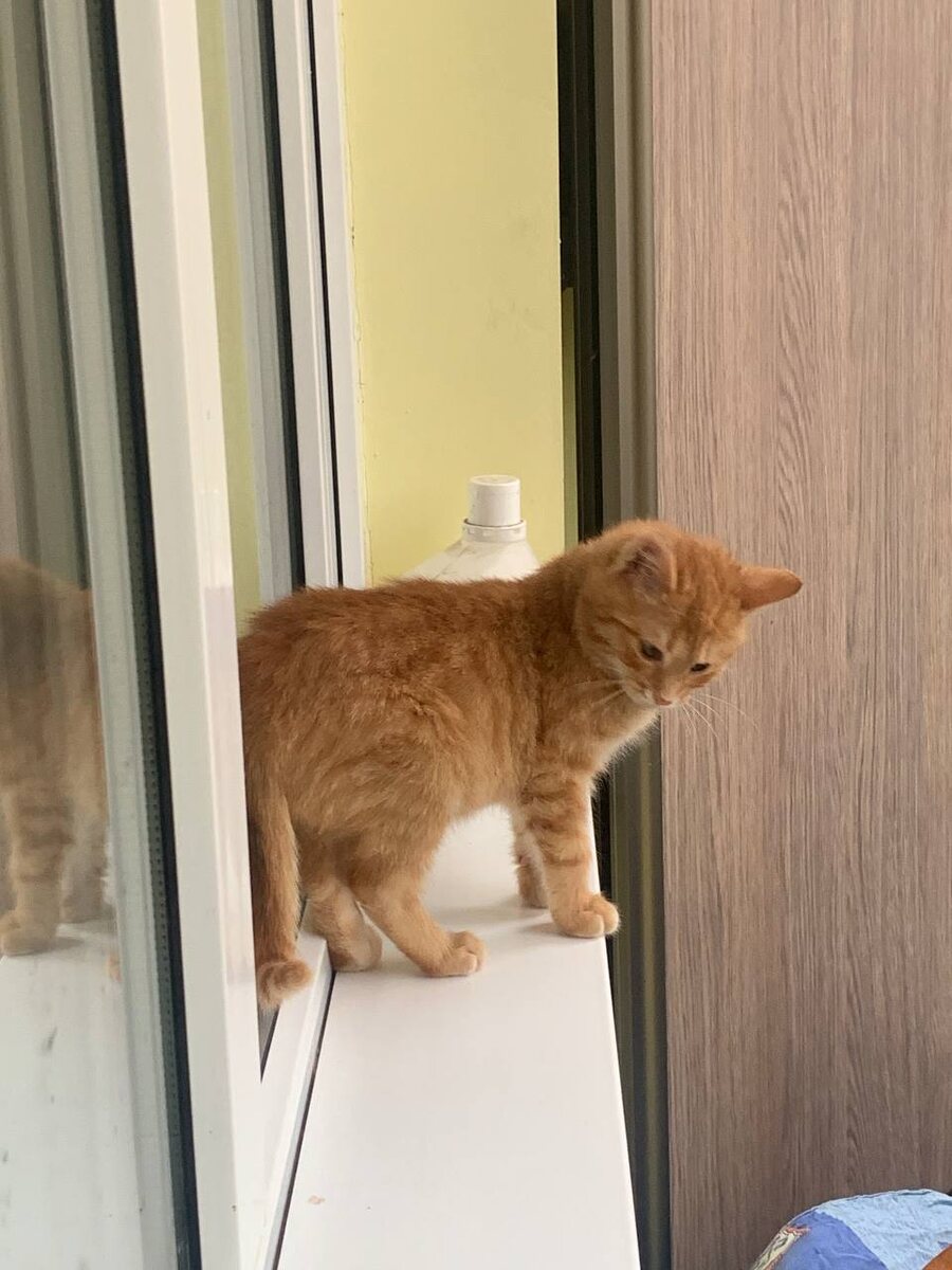 Очень страшно, но очень интересно. Надо ещё куда-нибудь залезти (для просмотра следующих фото листайте вправо)