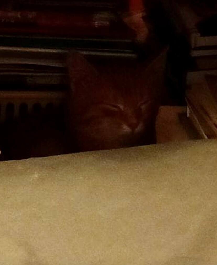 Страшно... очень страшно...