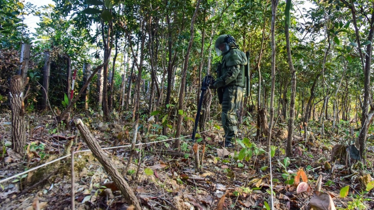 Фото: официальный сайт Минобороны России mil.ru📷
