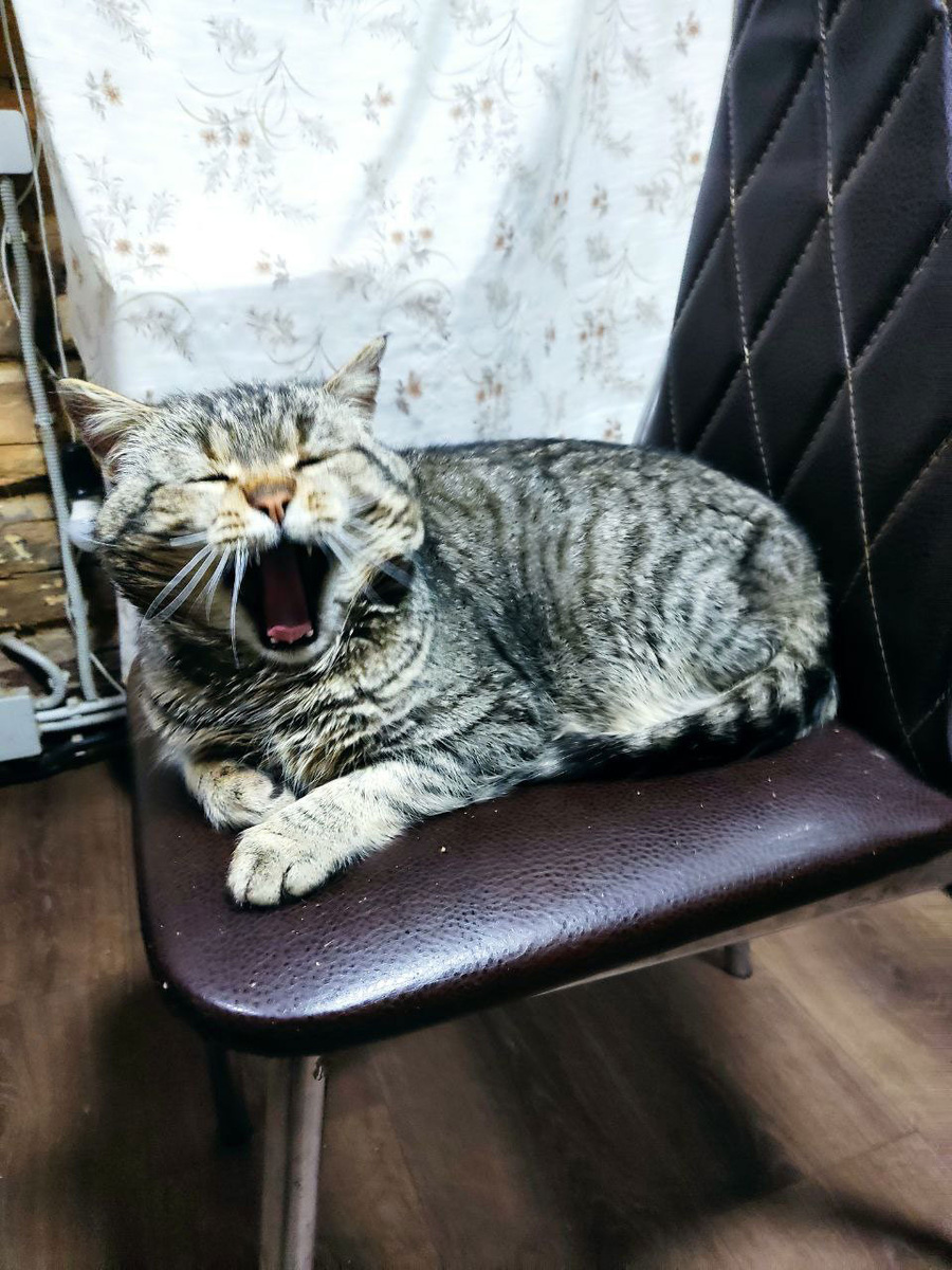 Граф приветствует наших подписчиков, и посылает куда подальше хейтеров.