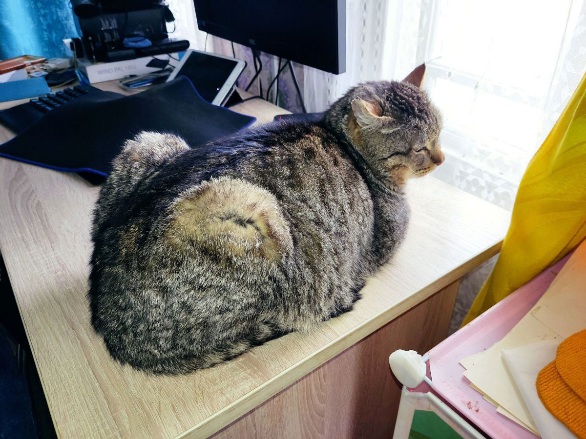 Мой помощьник в работе за компьютером.