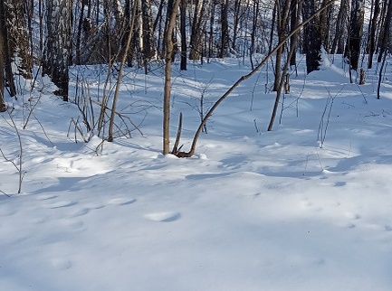 Фотография из личного архива автора