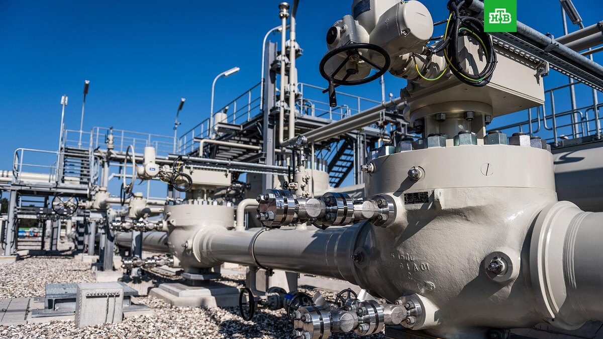    Фото: РИА Новости © 2025, Дмитрий Лельчук