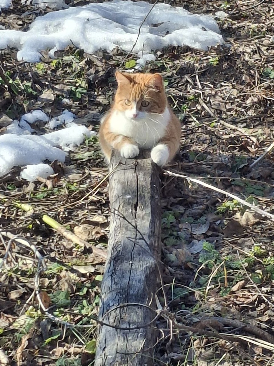 Фото автора.