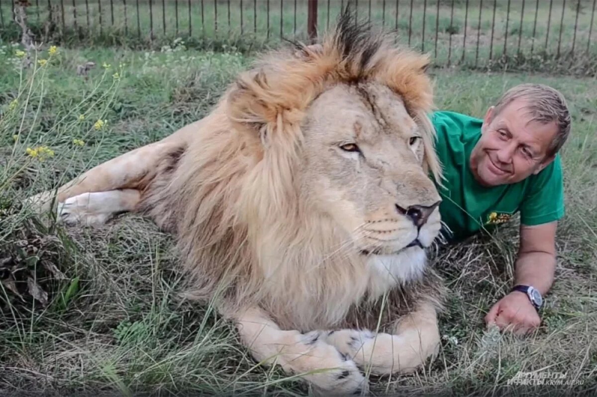    Лев Марсель был очень общительным.